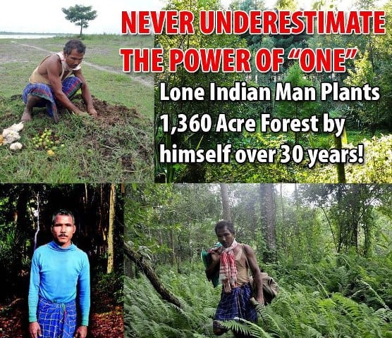 Indian Man, Jadav Molai Payeng Single-Handedly Plants A 1,360 Acre Forest In Assam 