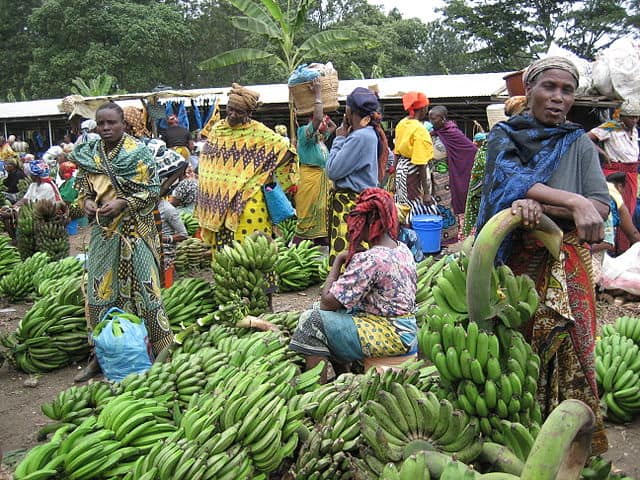 https://commons.wikimedia.org/wiki/Tanzania#/media/File:Tengeru_market.jpg