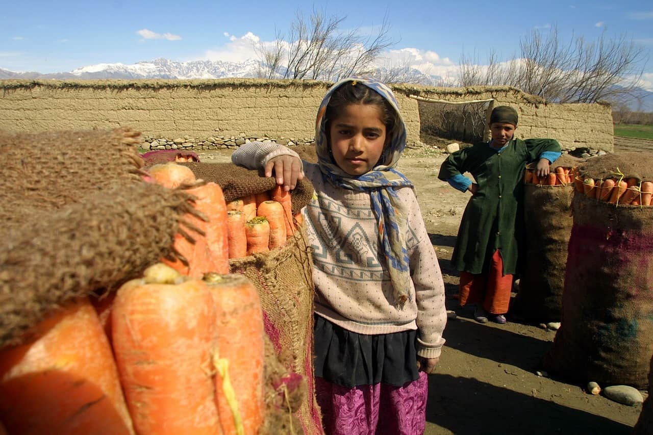 https://pixabay.com/en/afghanistan-children-carrots-crop-79526/
