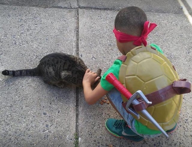 https://www.thedodo.com/close-to-home/boy-helps-street-cats