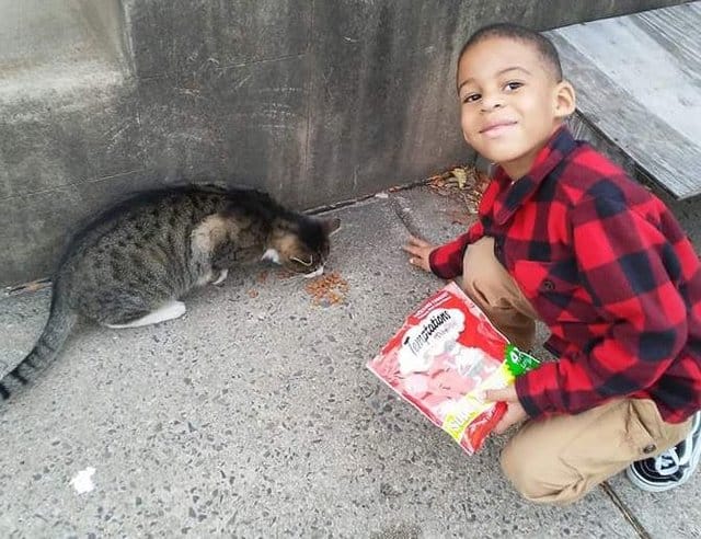https://www.thedodo.com/close-to-home/boy-helps-street-cats