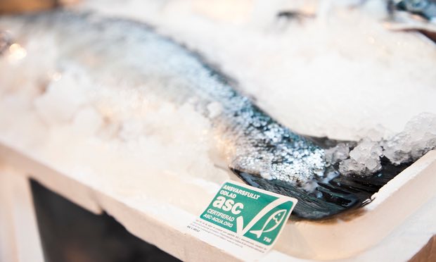 https://www.theguardian.com/environment/2015/sep/29/is-it-ok-to-eat-farmed-salmon-now